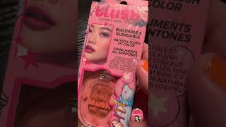 Mini Dollar Tree Beauty Haul November 2024 125 items only dollartree dollartreehaul [upl. by Aeriela533]