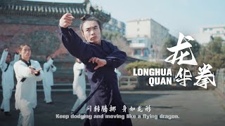 Wudang Longhua Quan Moving like a flying dragon [upl. by Mrots]