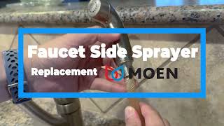 Replacing a Moen Faucet Side Sprayer [upl. by Fellows442]