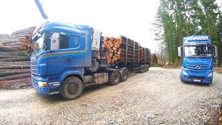 🚛🇮🇪 Hauling Timber Dungarvan Transport [upl. by Meredith]