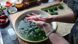 Busy Food Prep Day Preserving New Zealand Spinach Venison Sausage meat and Lemon Verbena [upl. by Anitnatsnok187]