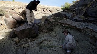 Giant dinosaur footprint discovered in Bolivia [upl. by Naut638]