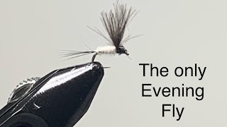 Fly Tying I Finally Nailed this Fly flytyingflyfishing [upl. by Nauq]