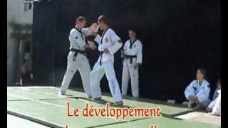 TaekwondoHapkido du Marais [upl. by Ailegna]