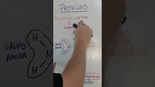 Proteínas PARTE 3  Estrutura  shorts biology [upl. by Lokim]