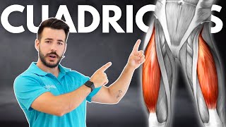 Los MEJORES EJERCICIOS para FORTALECER la RODILLA 🦵🏼 en Personas Mayores [upl. by Herb809]