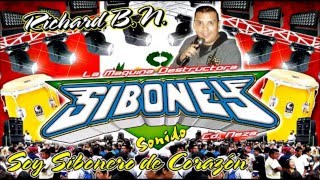 Me Emborracho Por Tu Amor Exito Sonido Siboney 2016 Limpia [upl. by Bodi]