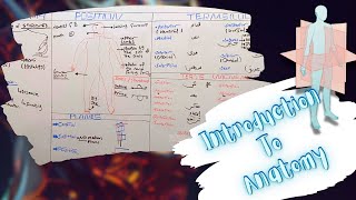 Introduction To Anatomy Anatomical Planes Position Terms of Location amp Movements شرح بالعربى [upl. by Enyalahs566]