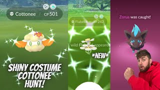 ✨Shiny Costume Cottonee amp Shiny Flabebe Hunt NEW Verdant Wonders Event In Pokemon Go✨ [upl. by Yevreh]