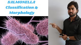 Salmonella Pathogenesis lecture [upl. by Marquis]