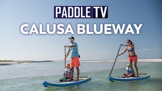 Stand Up Paddling Floridas Great Calusa Blueway [upl. by Erusaert48]