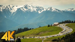 Beautiful Washington Episode 4  4K Nature Documentary Film about Washington State [upl. by Annawit769]