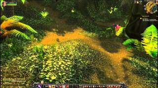 KillCollect Quest  World of Warcraft [upl. by Aicitel]