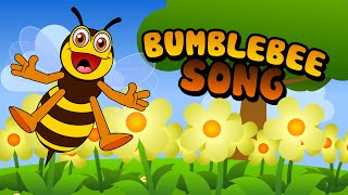 BuZZy BuZZy BuZZy Bumblebee SONG [upl. by Enuahs]