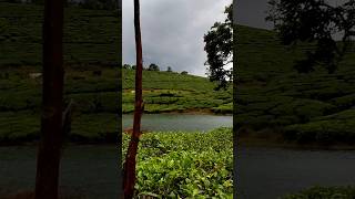 Angane CHARLIE KULAM🏞️ poyi kandu💚 [upl. by Acireed]