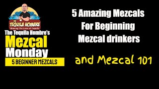 5 Great Mezcals for beginning mezcal drinkers  The Tequila Hombre [upl. by Paradies669]