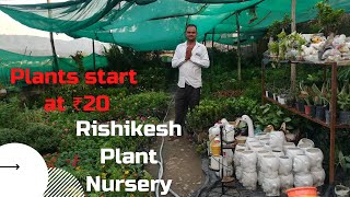 Nursery visit with prices  Green Nursery Rishikesh Vlog affordable plants wprices plantnursery [upl. by Nellaf632]