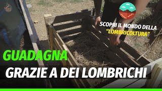 Come funziona e quanto puoi guadagnare da un allevamento di lombrichi con cui produrre humus [upl. by Ebby156]