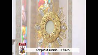 Best Catholic Luganda Adoration praise and Worship songs [upl. by Anavahs823]