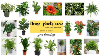 House plants name  Indoor plants name  Common house plants name  Easy English Learning [upl. by Mcadams]