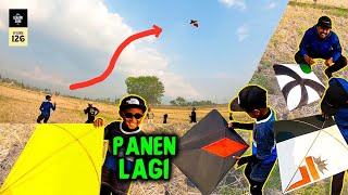 MENGEJAR LAYANGAN PUTUS EPISODE 126  PANEN LAYANGAN JEPRET WOK [upl. by Aylward503]