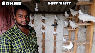 SANJIB DA PULSAR TRIPLAR PIGEON LOFT VISIT  LILUAH HOWRAH   8777689592 [upl. by Cleti823]