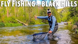 Epic Fly Fishing in the Black Hills of South Dakota [upl. by Ellemac793]