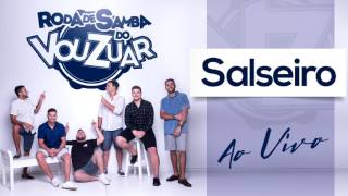 Vou Zuar  Salseiro Ao Vivo Áudio Oficial [upl. by Adnoryt181]