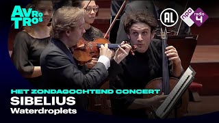 Sibelius Water Droplets  Nicolas Altstaedt and Tjeerd Top  Live concert HD [upl. by Aruasi531]