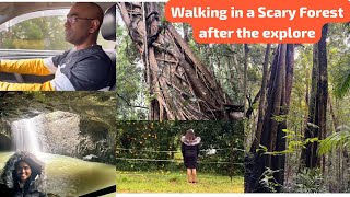 Road Trip Day 4 Scary evening Rainforest Walk after Wet and Wild  Natural Bridge Queensland [upl. by Onaicul]