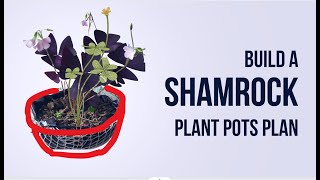 Lets make shamrock plants pot above from the ground amp make oxalis bushy GardenArcX EP82 [upl. by Minny821]