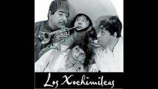 THE XOCHIMILCAS INSTRUMENTAL [upl. by Cofsky]