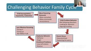 Challenging Child Behaviors and the Family Cycle [upl. by Torrie622]