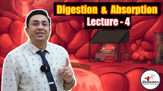 Digestion amp Absorption l Lecture 4 l Biology l NEET [upl. by Alael476]