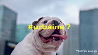 Audi Q2  Spot publicitaire quotUntaggablequot [upl. by Assiralk]