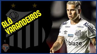 24 HORAS POR LUÍS CASTRO  SOTELDO VOLTANDO AO SANTOS [upl. by Enneire422]