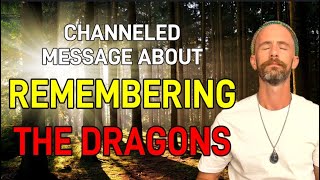 SHAMANIC Channeling of DRAGONS A message about REMEMBERING THE DRAGONS Channeled message – Andy G [upl. by Isewk664]