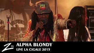 Alpha Blondy  Rainbow in the Sky amp Hope  LIVE HD [upl. by Canfield]