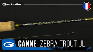 CANNE TRUITE GARBOLINO ZEBRA TROUT UL [upl. by Athenian]