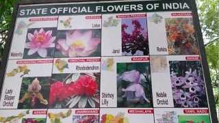 List of Indian State Flowers Video State Official Flowers Of India State Wise [upl. by Anayt]