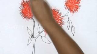 How to Draw Bottlebrush [upl. by Leuqim]