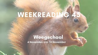 Weekreading 45 Weegschaal [upl. by Leksehc]