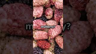 what is Morula morula embryonicdevelopment mulberrycell [upl. by Yeclek]