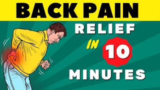 Lower Back Pain  Everything You Need to Know  Lower Back Pain Exercises quotFAST RELIEFquot [upl. by Brackely]