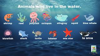 Aprende Ingles facil y rapido hoy aprenderas algunos nombres de animales marinos en Ingles [upl. by Weatherley39]