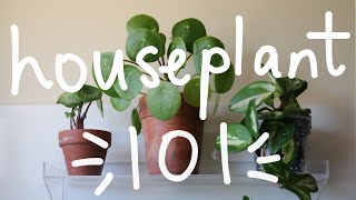 Houseplant 101  Houseplant Care Basics [upl. by Lessard]