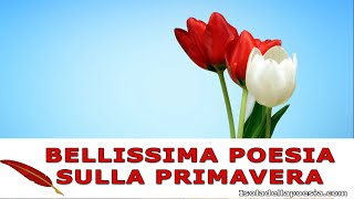 Umberto Saba  Il biancospino  Poesia sulla primavera [upl. by Leese]