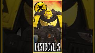 DESTROYERS  Severe Skirmishers  Warhammer 40k Lore [upl. by Holly-Anne]