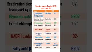 Reactive oxygen species ROS short viralshorts [upl. by Norling]