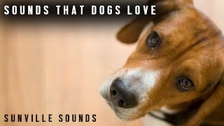 Sounds Dogs LOVE  Animal Sounds with Peter Baeten [upl. by Gillespie845]